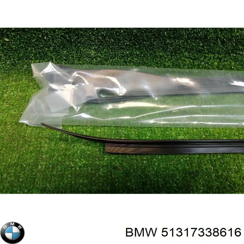 51317338616 BMW