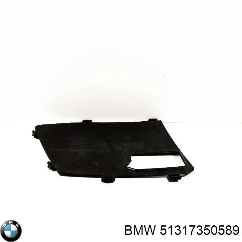 Moldura de parabrisas 51317350589 BMW