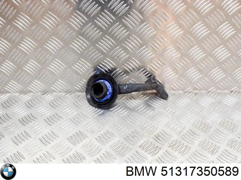 Comprar 51317350589 BMW Moldura de parabrisas