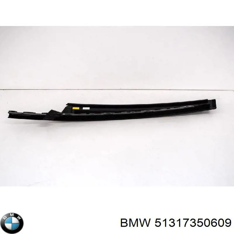 51317350609 BMW