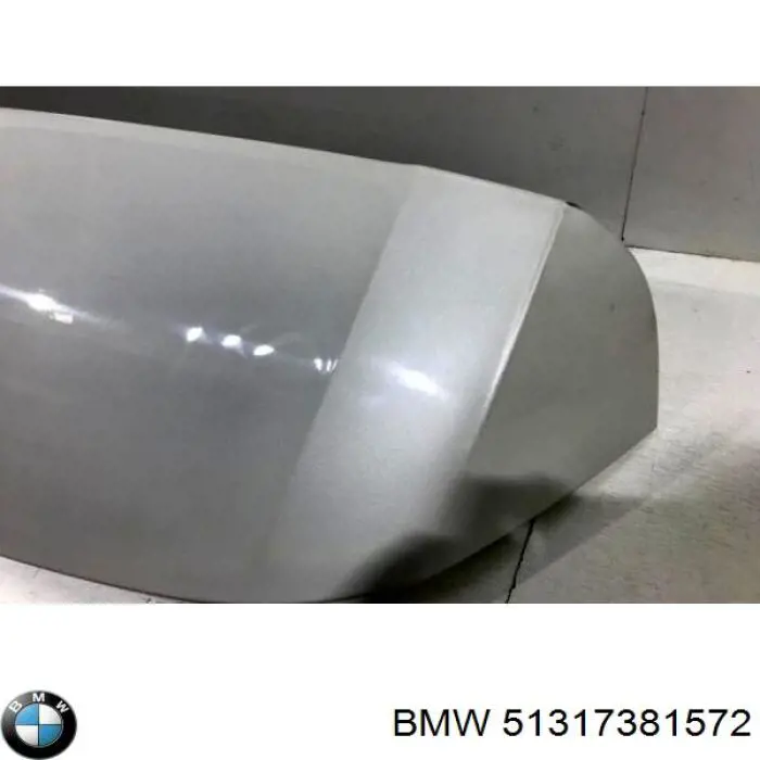 51317381572 BMW alerón para puerta de maletero