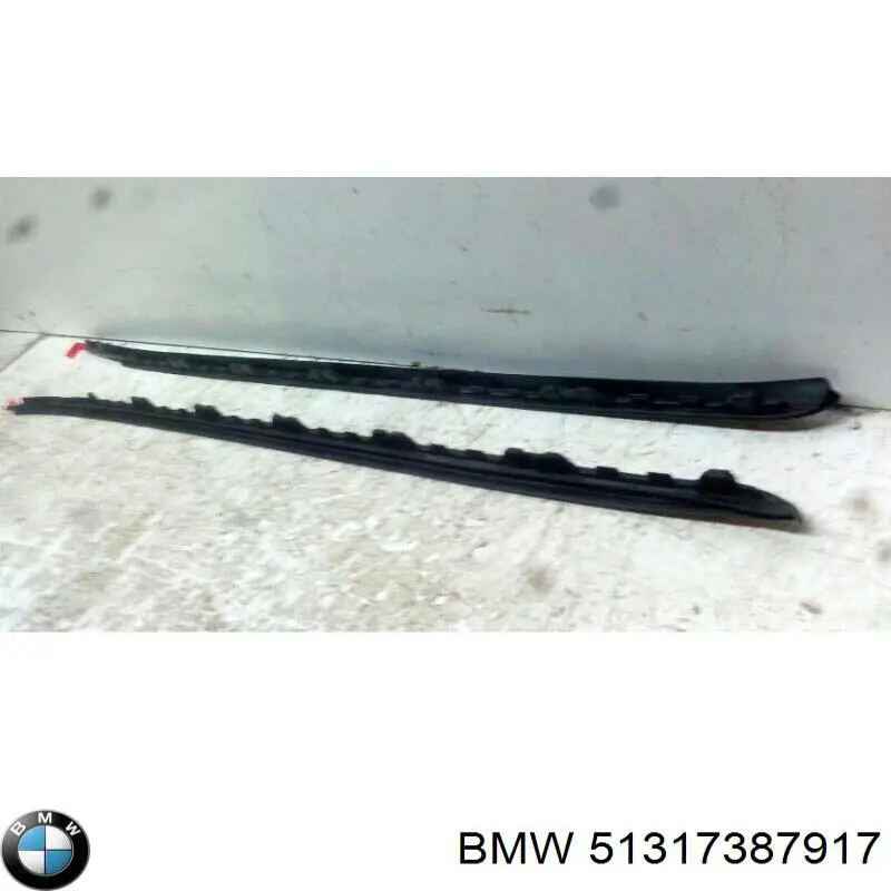 51317387917 BMW