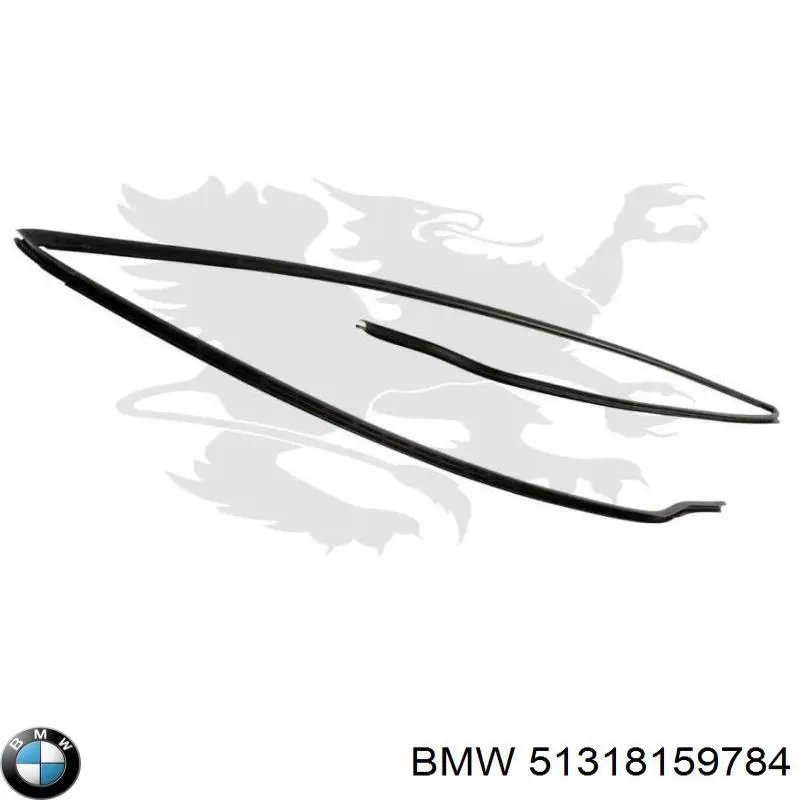 Moldeado del parabrisas BMW 5 