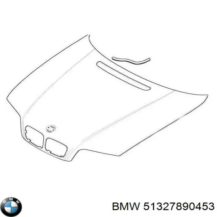 51327890453 BMW Moldura de cristal de la puerta trasera izquierda