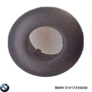  BMW 51417316859 precio, desde 21,23 EUR