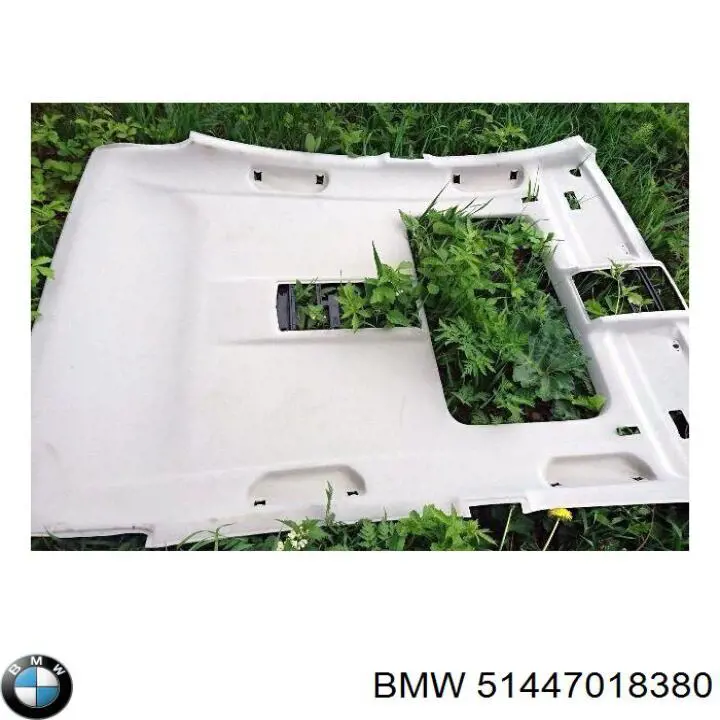 51447018380 BMW