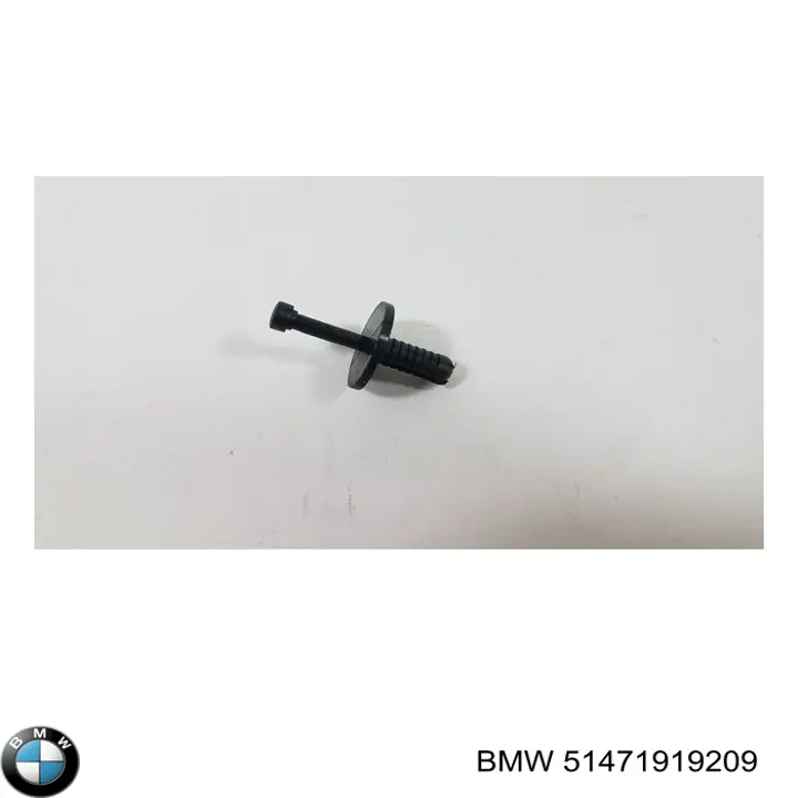 51471919209 BMW 