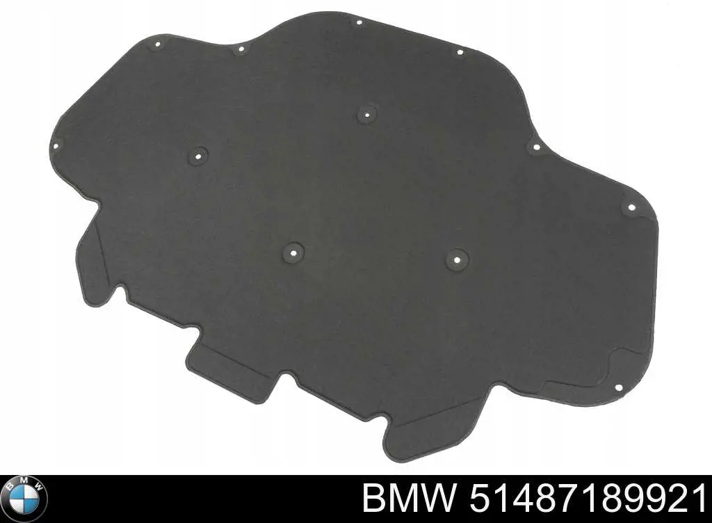 Insonorizante de motor BMW 51487189921 precio, desde 87,66 EUR