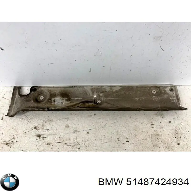 Comprar 51487424934 BMW 