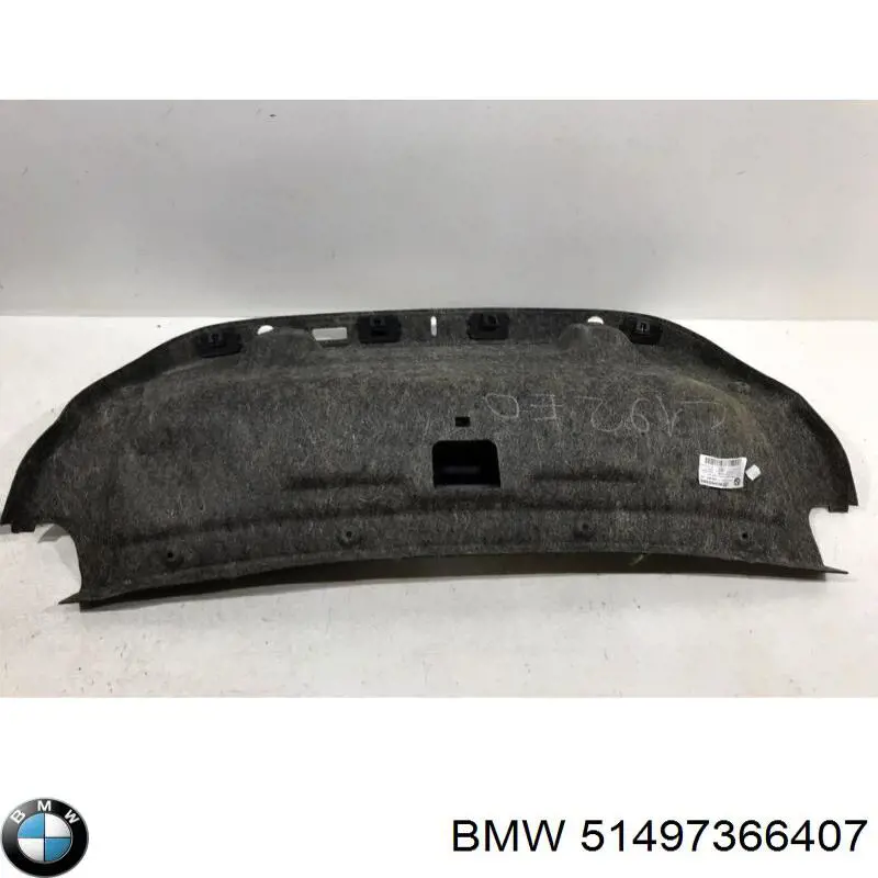 51497366407 BMW