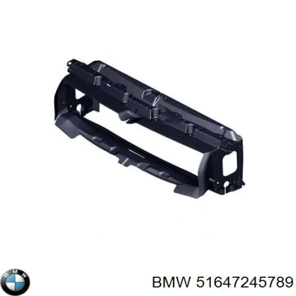 51647245789 BMW barra estabilizadora superiror