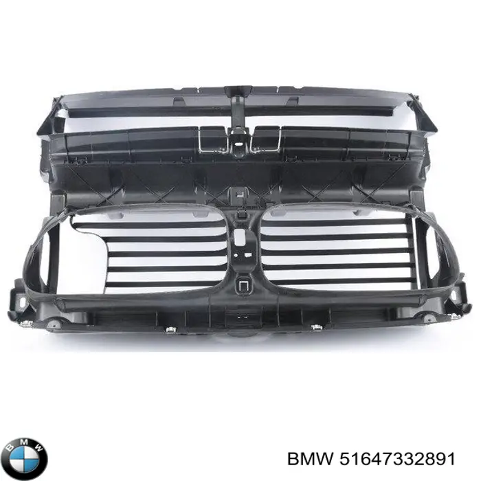 51647332891 BMW manguito, alimentación de aire