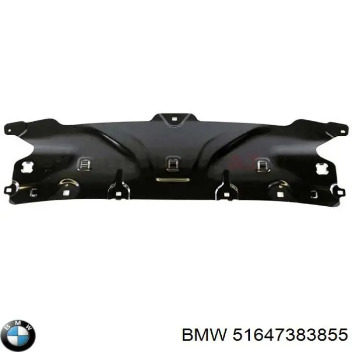 51647383855 BMW