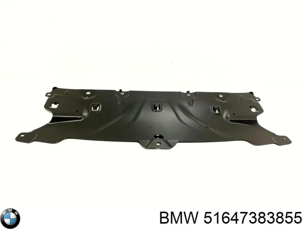 Cubierta superior del panel frontal (soporte del radiador) BMW 51647383855 precio, desde 151,42 EUR