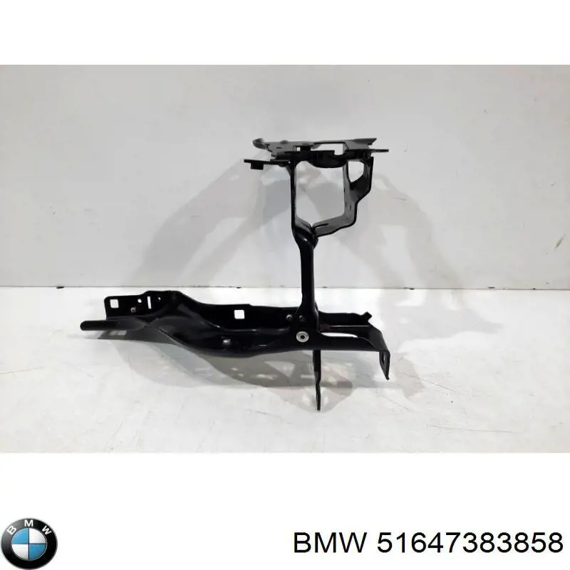 51647383858 BMW