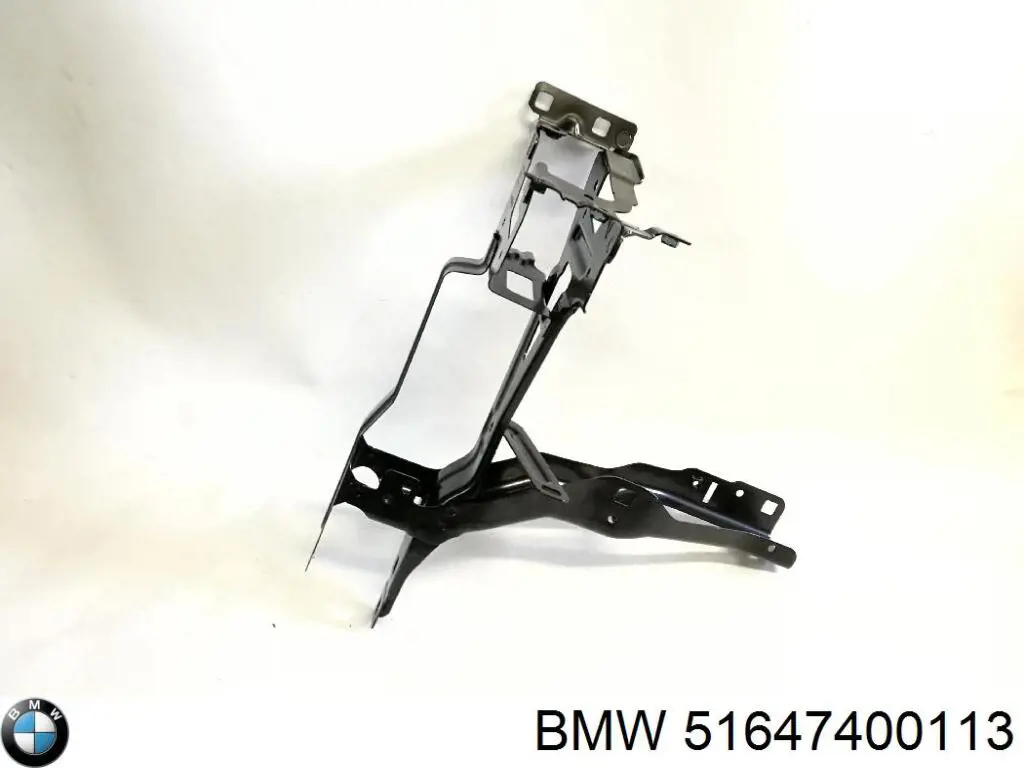 51647400113 BMW