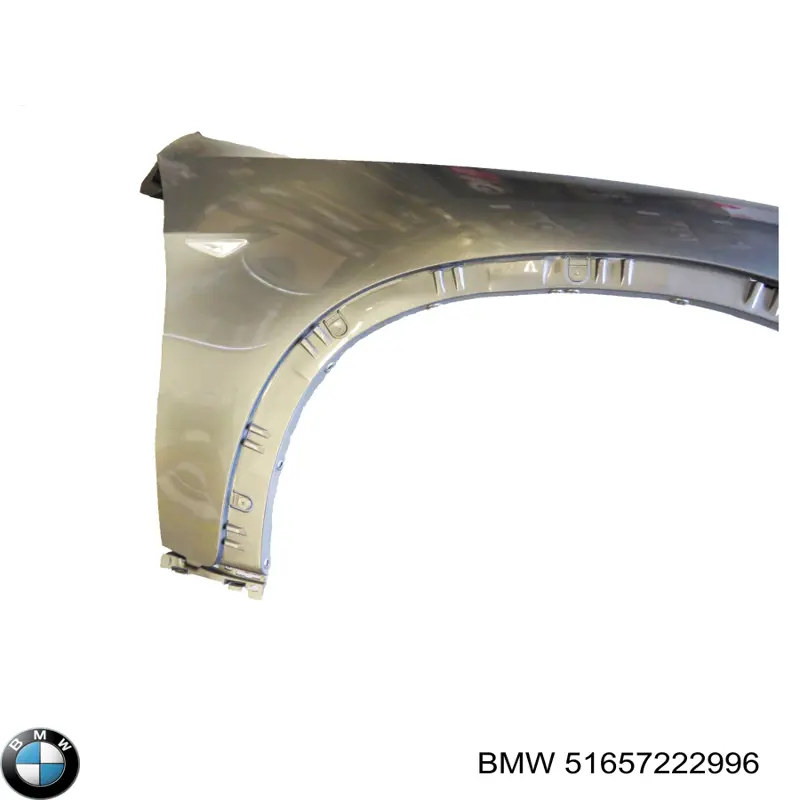 51657222996 BMW Aleta delantera
