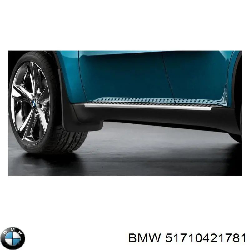Juego de estribos, Chapa de acceso para BMW X5 (E70)