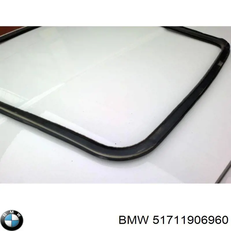 51711906960 BMW