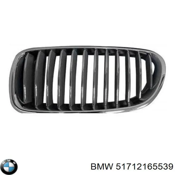 Comprar 51712165539 BMW Rejilla izquierda