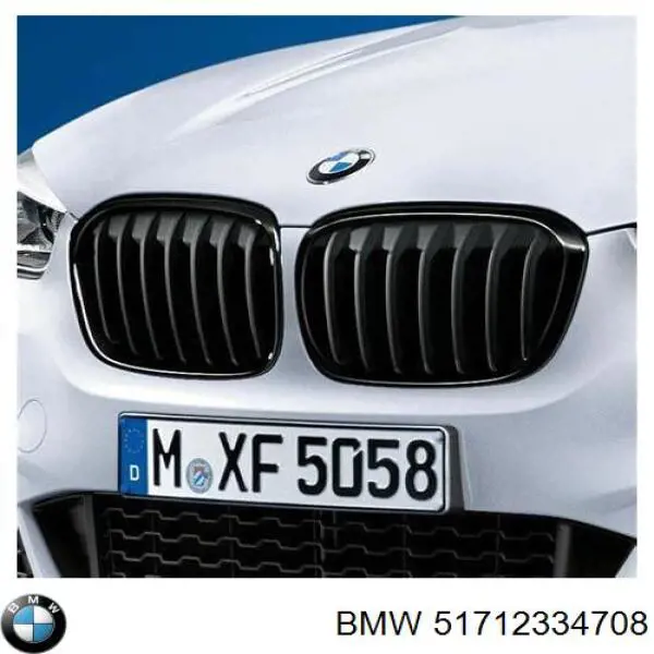 51712334708 BMW Parrilla izquierda del radiador