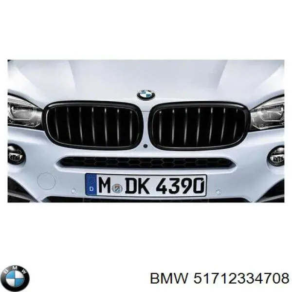 Comprar 51712334708 BMW Rejilla izquierda