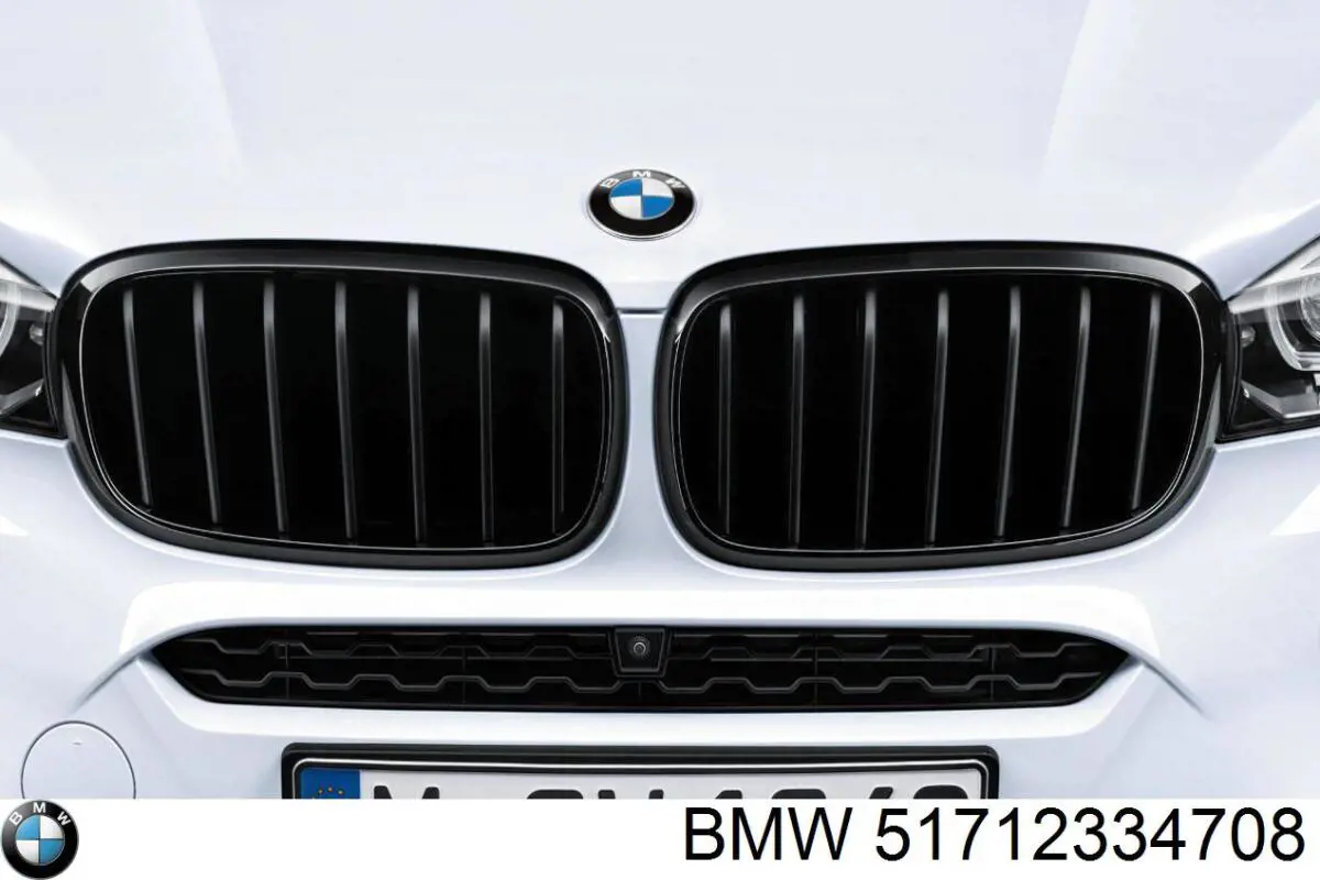 Parrilla izquierda del radiador BMW 51712334708 precio, desde 63,59 EUR
