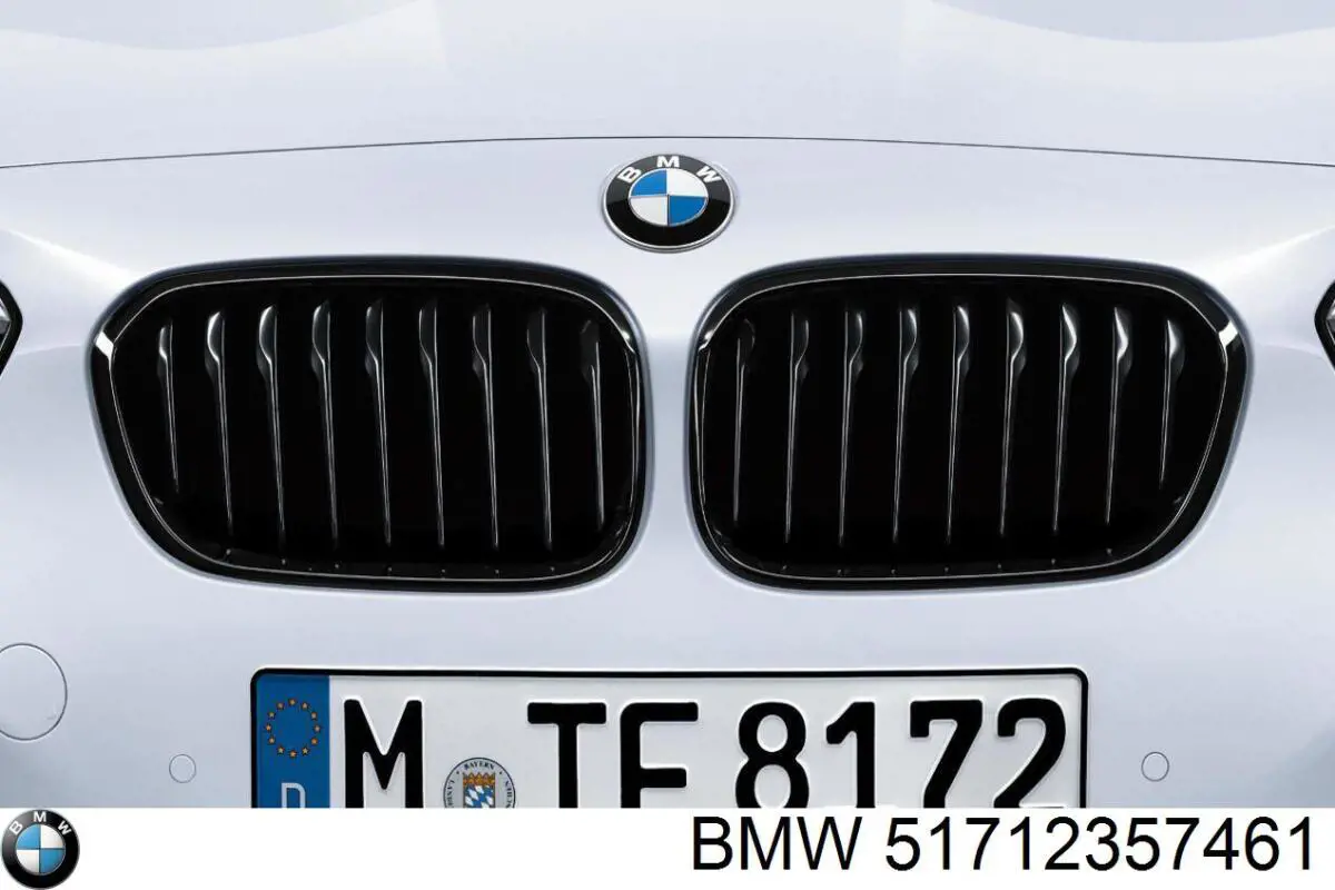 Parrilla izquierda del radiador BMW 51712357461 precio, desde 40,10 EUR