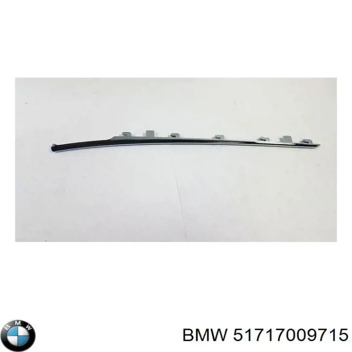 Comprar 51717009715 BMW Guardalodos interior izquierdo, guardafango delantero
