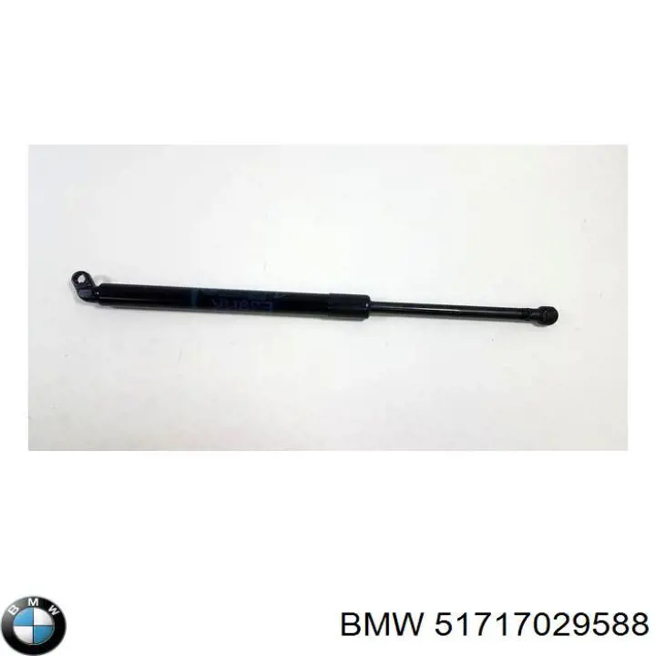 51717029588 BMW Junta de puerta delantera izquierda