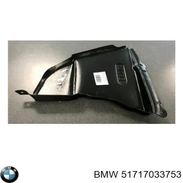 Comprar 51717033753 BMW Protección izquierda del motor