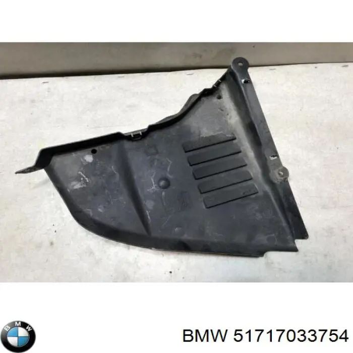 Comprar 51717033754 BMW Protección derecha del motor
