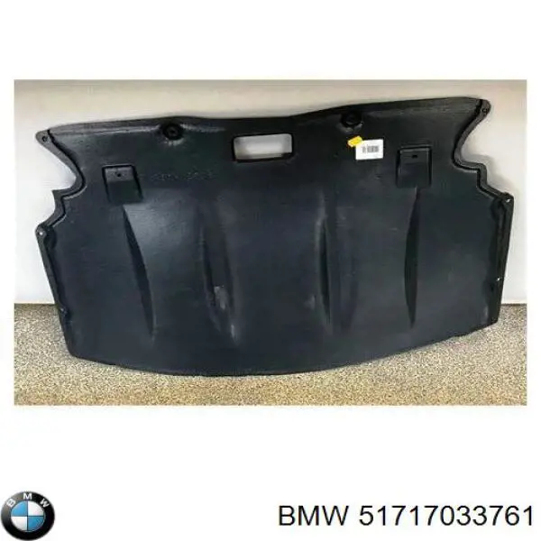 51717033761 BMW protección motor / empotramiento