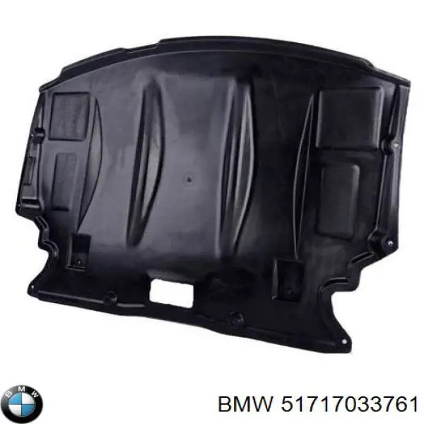 Protección de cárter BMW 51717033761 precio, desde 49,45 EUR