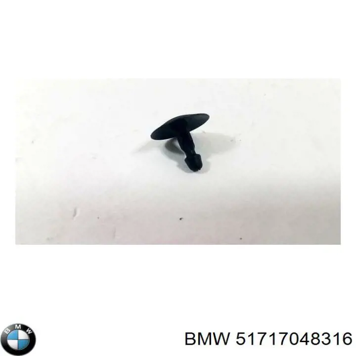 51717048316 BMW