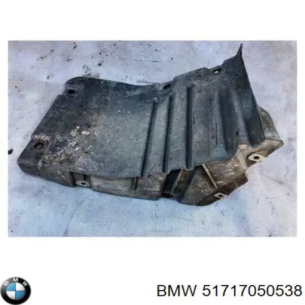 51714363956 BMW guardabarros interior, aleta delantera, derecho delantero