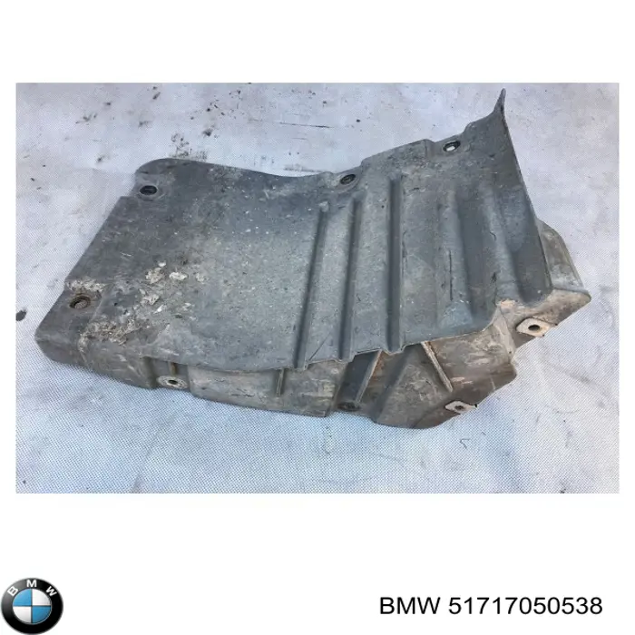 Comprar 51717050538 BMW Guardalodos interior delantero derecho