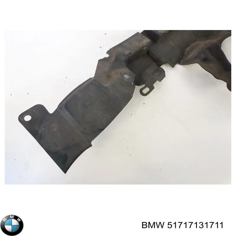 Comprar 51717131711 BMW 