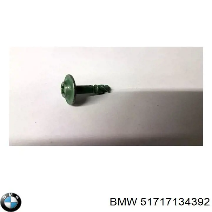 Tapón del cárter de aceite BMW 51717134392 precio, desde 3,19 EUR
