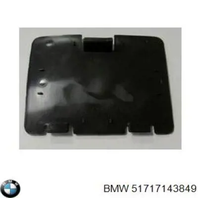 Tapa de guardabarros delantero izquierdo 51717143849 BMW