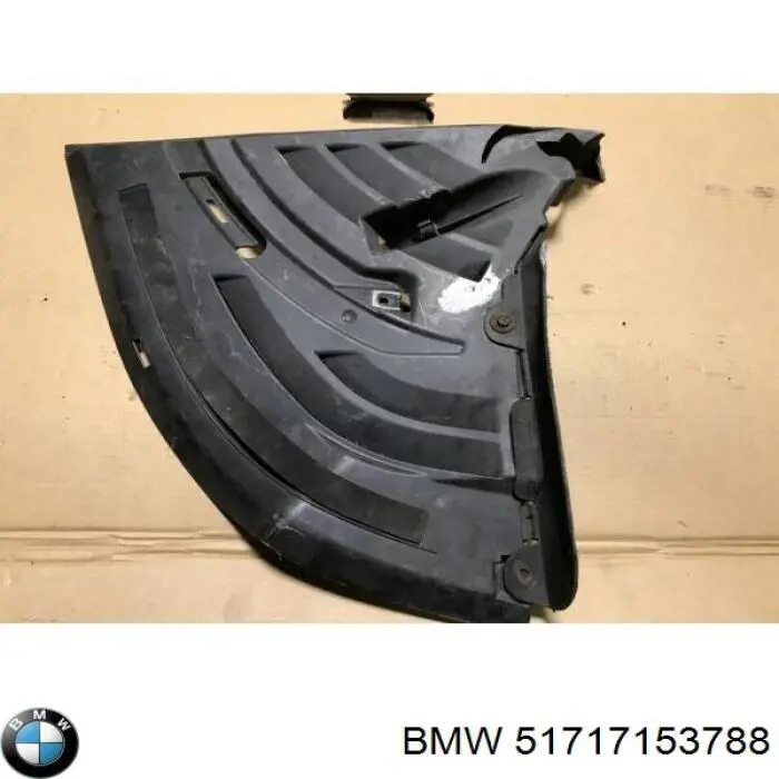 51717153788 BMW protección motor derecha