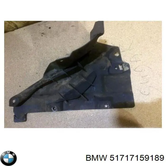 Comprar 51717159189 BMW 
