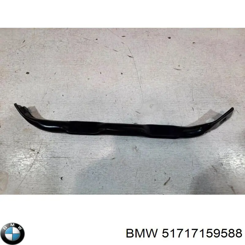 51717159588 BMW