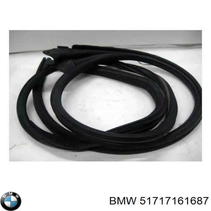 51717036789 BMW