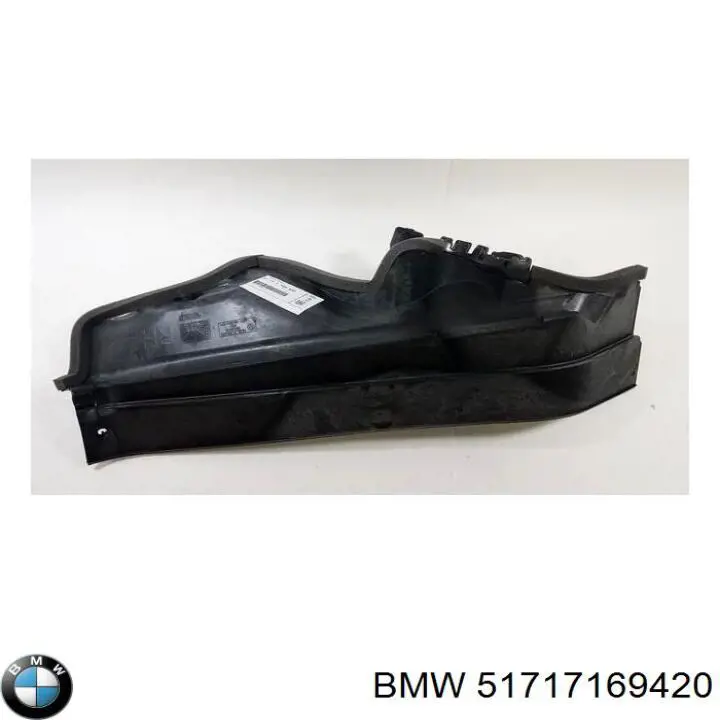 Comprar 51717169420 BMW Protección derecha del motor
