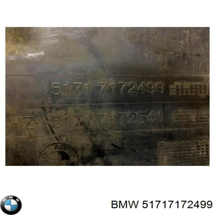 Comprar 51717172499 BMW Guardalodos delantero izquierdo