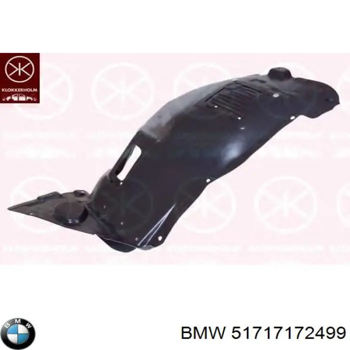 Guardalodos delantero izquierdo 51717172499 BMW