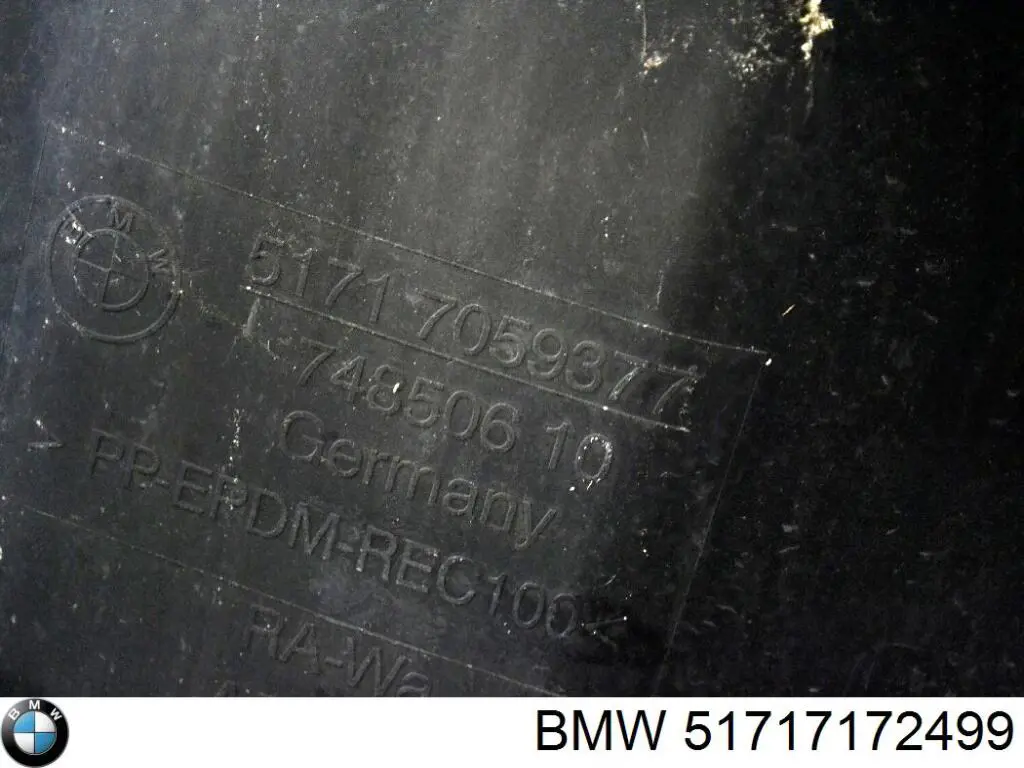 Guardalodos delantero izquierdo BMW 51717172499