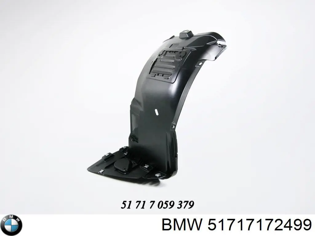 51717172499 BMW Guardalodos delantero izquierdo
