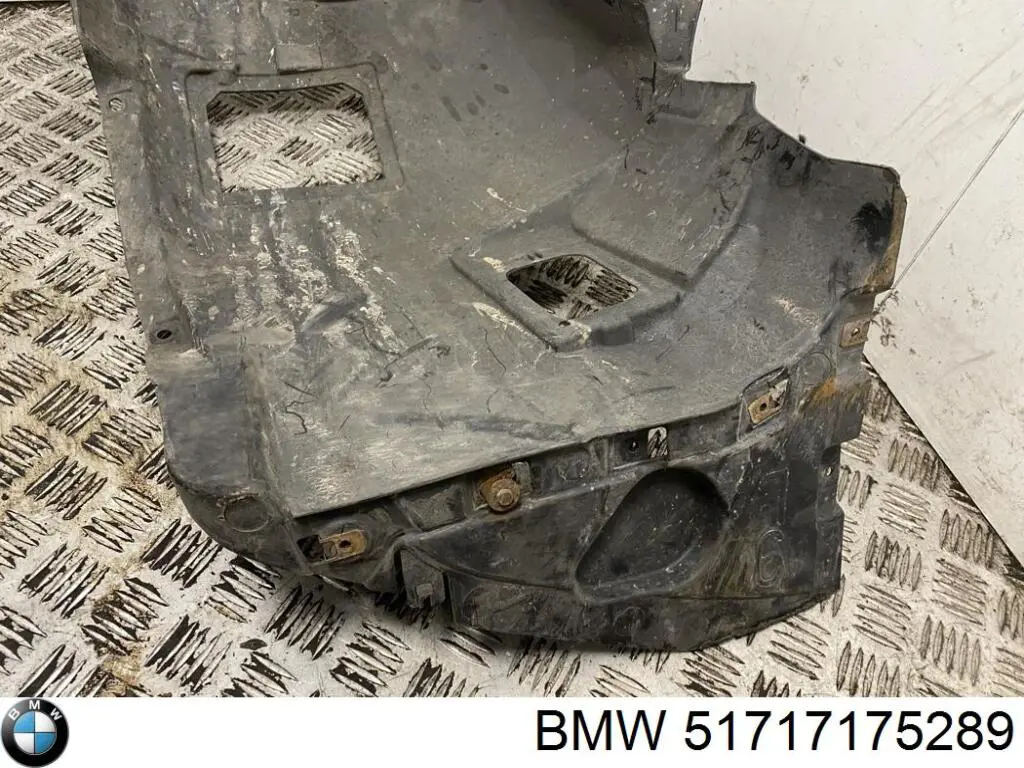 51717175289 BMW